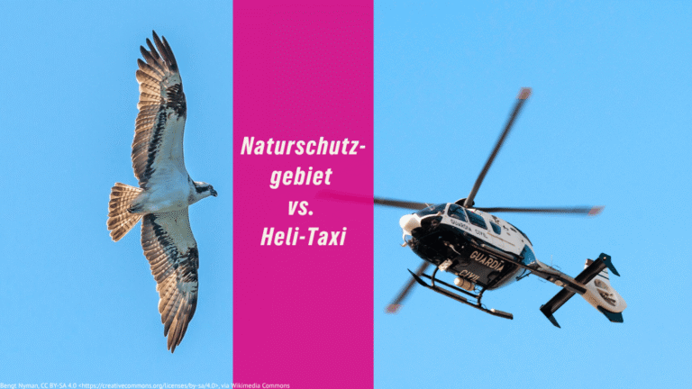 Kein VIP-Flugplatz am Charlottenhofer Weihergebiet